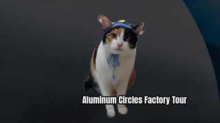 ビデオブログ 6